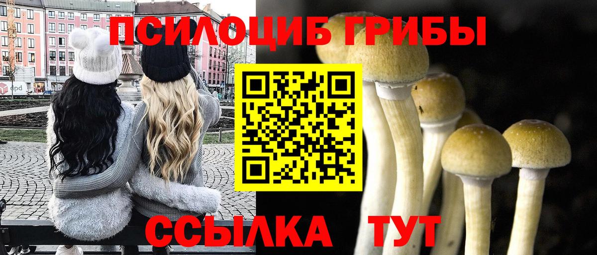 Псилоцибиновые грибы прущие грибы Сергиев Посад
