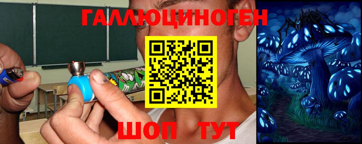 Сергиев Посад  Галлюциногенные грибы Psilocybine cubensis  Вход с VPN 